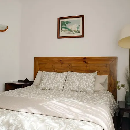 Beautiful Beachfront Garden Villa Villa Puerto de Santiago (Tenerife)